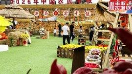 丰收节里助农忙！内蒙古达拉特旗驻村第一书记“组团”带货，本土好物“云”上飘香